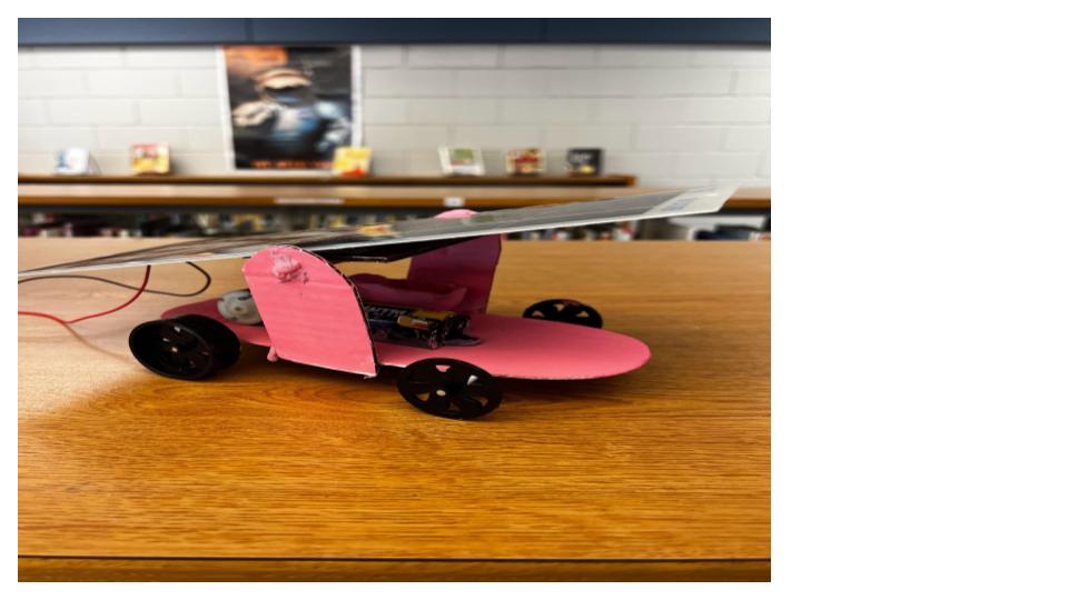 Pink Bugs solar car